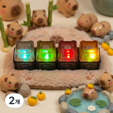 올라제 카피바라 LED 4구 키캡키링 2종, 초코렛 카피바라 4구, 2개
