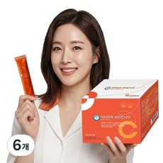 닥터리치 비타민C 3000mg 90포, 6개, 270g