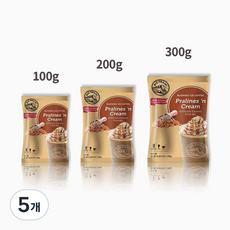 빅트레인 프랄린 앤 크림 파우더 (호두마루 프라페), 1개입, 5개, 200g