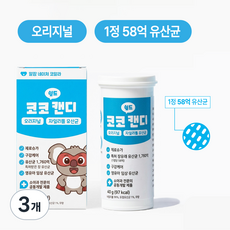 코 유산균 코코쉴드 오리지날 장 구강유산균 코알라캔디, 3개, 28정