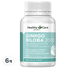 징코 빌로바 2000mg 헬시케어 정품, 6개, 100정