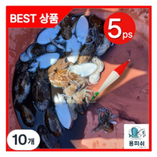 용피쉬 에기 쭈꾸미 갑오징어 야광, 10개