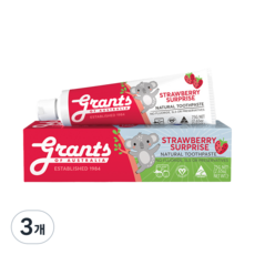 그란츠 아동용 스트로베리 서프라이즈 치약 불소Free, 75g, 3개