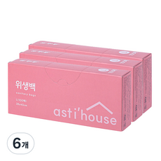 아스티하우스 서랍쏙 위생백 위생팩 보관 비닐봉투 L(대), 6개, 100개입, 대(L)