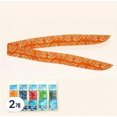 리니데이 아이스 넥쿨러 스카프 얼음 목걸이 머플러, 2개, 레드