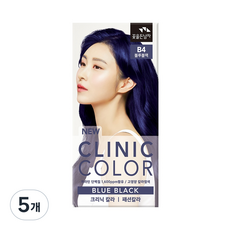 꽃을든남자 크리닉 새치 염색약, 5개, B4 블루블랙