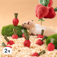 햄찌무드 햄스터 이갈이 간식 동결건조 과일 딸기 15P, 2개