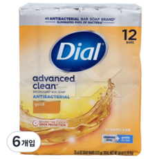 다이알 골드 비누, 1.36kg, 6개입