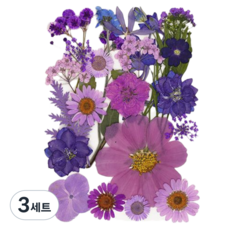 압화 책갈피 DIY 책갈피 드라이플라워 북마크, 3세트, 드라이플라워 보라색 계열