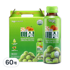 보고 꿀담은 매실 음료 데일리 상쾌 케어 선물용, 120ml, 60개