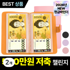 루브론 갓생 현금 바인더 저축 다이어리, 2개, 파스텔 핑크 2개, 파스텔 핑크