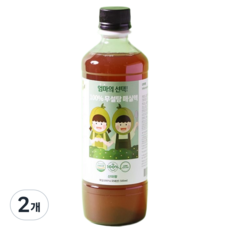 산이랑 무설탕 매실청 백프로 매실원액, 2개, 500ml
