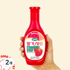 서강유업 딸기시럽, 2개, 530g