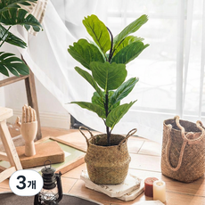 그린 오피스 데스크톱 시뮬레이션 인테리어 화분 식물, 3개, 피카스(높이 약 60CM)