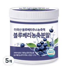 푸른들판 블루베리 농축 분말 가루 파우더 불루베리 열매 과일 파우더 무설탕, 5개, 180g