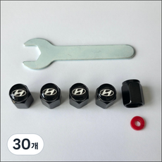 현대 타이어 에어 밸브캡 마개 5개 세트, 검정, 30개