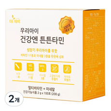 [더데이] 대용량 어린이멀티비타민 면역력영양제 아기티바민D 튼튼타민 대용량 망고맛, 100회분, 2개