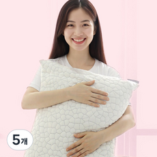 딥자 메모리폼 경추베개 옆으로자는 목디스크 일자목 거북목 낮은베개, 5개, 메모리폼베개