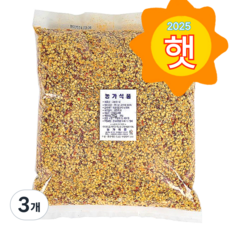 햇 국내산 고추씨 고추씨앗, 1kg, 3개