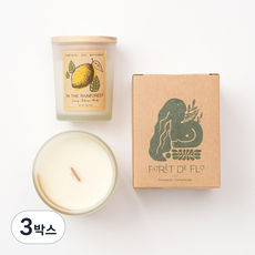 IN THE RAINFOREST 인 더 레인포레스 (쁘띠사이즈) 포레드플로 테라퓨틱 아로마테라피 소이 캔들, 85g, 3개, 인더레인포레스트, 스몰(250g 미만)