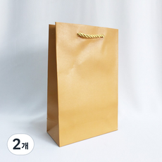 무광코팅7호 쇼핑백, 2개, 금색