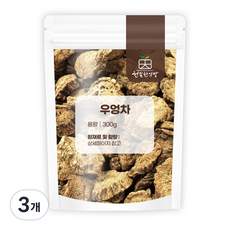 천일한약방 (국내산 진주) 저온 볶은 우엉차, 3개, 300g