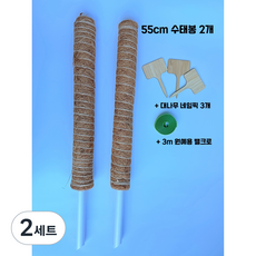 몬스테라 식물지지대 수태봉 연결형 55cm 2개 + 대나무 네임픽 3개 + 원예용 밸크로 3m, 2세트