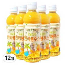 감귤 담은 한라봉 주스 제주산 NFC 착즙주스 어린이간식 학교간식 교회간식, 12개, 340ml