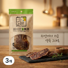 애구애구 반려동물 올바른 수제 육포 30p, 오리가슴살, 300g, 3개