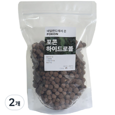 럭키플랜트 하이드로볼 식물 다육이 흙 고온, 1L, 2개