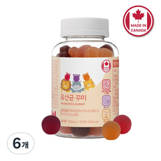 네이처그랜드 어린이 키즈 프로바이오틱스 유산균 꾸미 90구미 1병 45일분 캐나다직수입 장건강, 6개