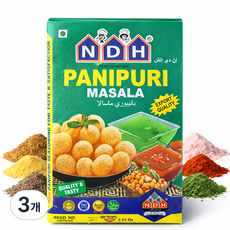 NDH 파니프리 마살라(PANIPURI MASALA), 3개, 100g
