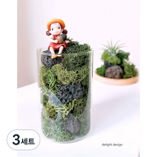 감사선물 가벼운선물-공기정화 스칸디아모스 인테리어 오브제 집들이 선물, 3세트