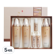 다나한 본연진 2종 특별기획세트(스킨2개+로션1개), 5세트