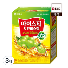 담터 아이스티 샤인머스캣맛 제로슈가, 13g, 30개입, 3개