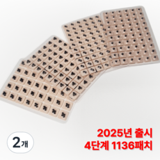 르토 귀침 단계별 귀지압패치 이혈테라피 이침, 1-4단계 혼합형 1136패치, 2개