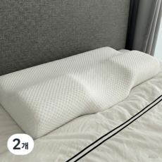 담은일상 프리미엄 C커브 메모리폼 베개 +커버, 2개, 퓨어화이트