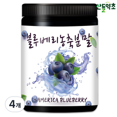 산들약초 미국산 블루베리농축분말 (블루베리농축액), 300g, 4개