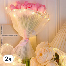 HORTIQUE 꽃포장지 메쉬원단 진주라인 꽃다발포장 레이스, 2개, LED진주라인