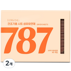 로쌩 드라이시트 건조기용 섬유유연제 본품, 2개, 40개입