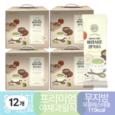 다움생식 네이처스케어 아침사랑생식85 야채과일식 30일분, 300g, 12개