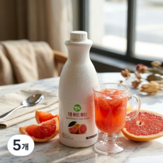 스위트베라 자몽 에이드 베이스, 5개, 1.8kg