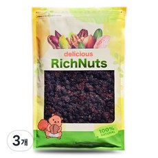 리치너츠 칠레산 건포도 베이킹 제과 제빵 재료, 3개