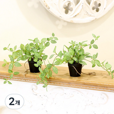 인테리어 조화 행잉플랜트 벽장식 가랜드 뉴행잉넝쿨화분, 2개, 휘토니아