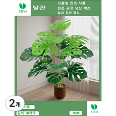 실내 장식용 인조 거북 등나무는 18개의 잎이 있고 높이는 75cm의 인조 꽃 인조 식물이다, 2개, 거북등나무 높이 75cm