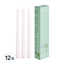 엘캔들 식물성 팜 테이퍼 캔들 화이트 24cm, 12개, 54g, 무향