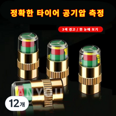 공기압 자동인식 타이어 에어캡 4 개 체크캡 에어 측정HJLTQM, 타이어밸브캡, 12개