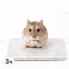 햄스터 마블 쿨매트 소동물 대리석, 3개, 그레이