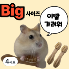 (BEST) 햄스터 이갈이 덴탈츄 칫솔 이갈이 간식 XS, 4세트