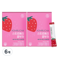 힐스랩 콤부차 스트로베리, 5g, 15개입, 6개